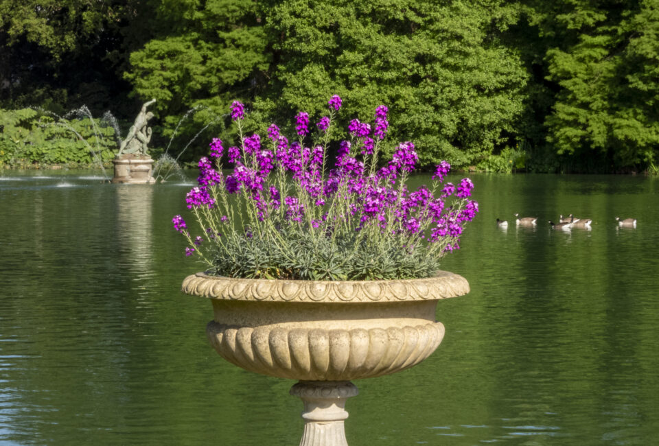 Antony Roberts in the Press – November 2025 - Antony Roberts