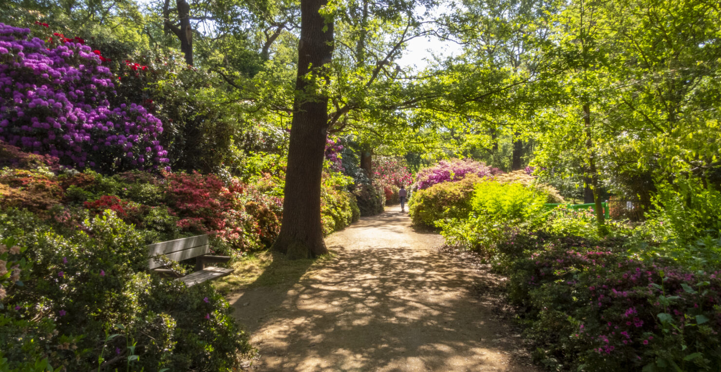 Antony Roberts in the Press – January 2026 - Antony Roberts