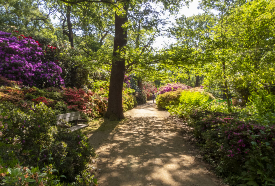 Antony Roberts in the Press – January 2026 - Antony Roberts