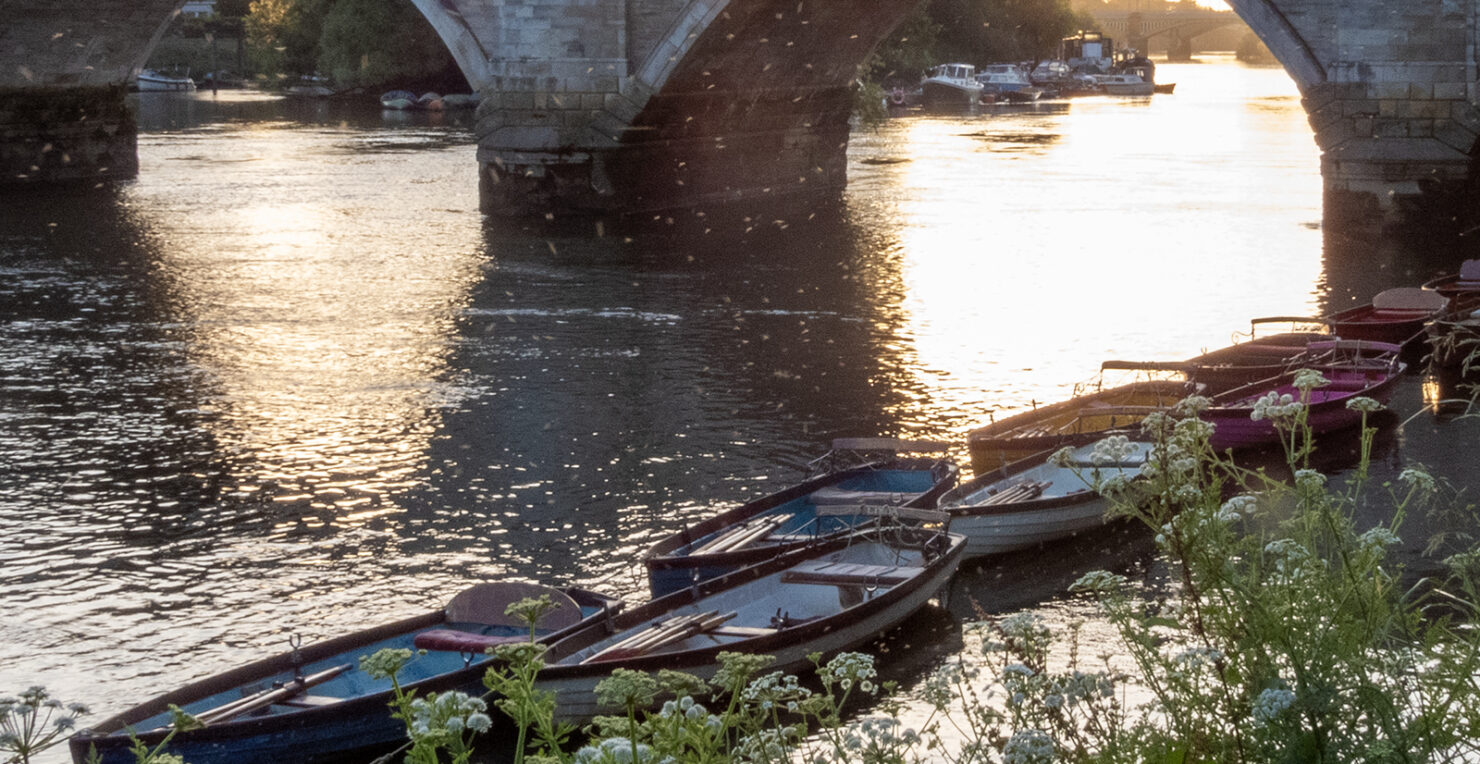 Antony Roberts in the Press – February 2026 - Antony Roberts