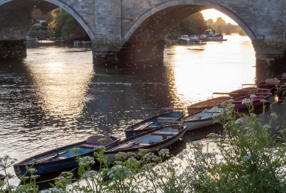 Antony Roberts in the Press – February 2026 - Antony Roberts